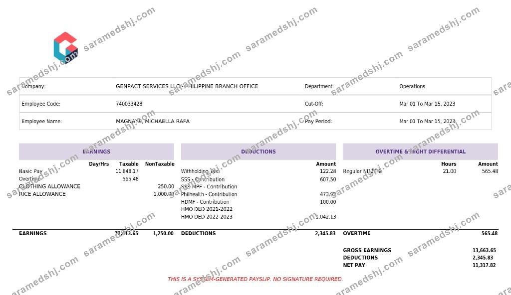 Genpact Services artificial intelligence payslip template in Word and PDF formats.pdf, 1
